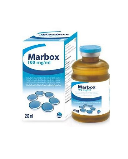 MARBOX 100 MG/ML INY. 250 ML