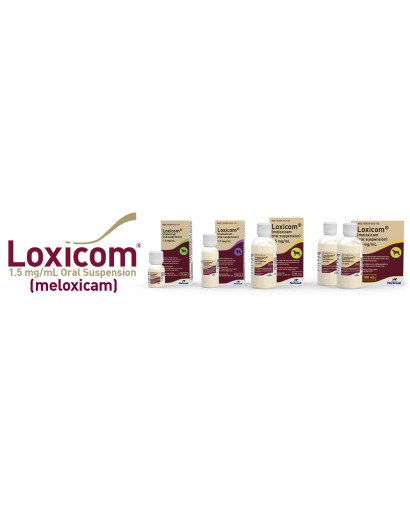 LOXICOM 1,5 MG SUSP. ORAL