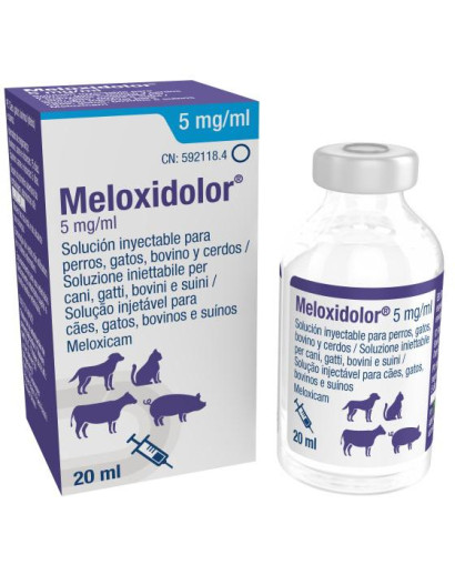 MELOXIDOLOR 5 MG INY. 20 ML