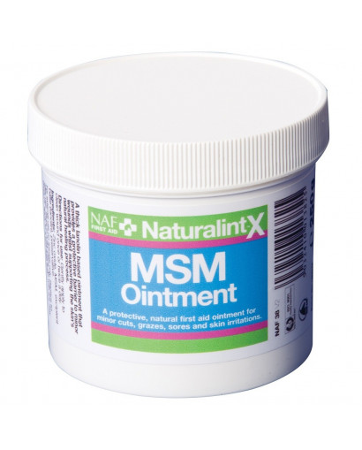 MSM OINTMENT 250 G