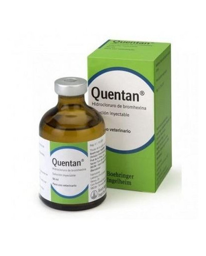 QUENTAN 3MG/ML INY. 100ML