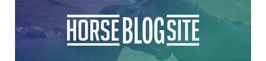 Blog Horsesite